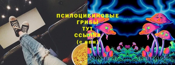 молекула духа Володарск